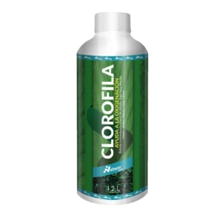 Clorofila + Oxígeno
